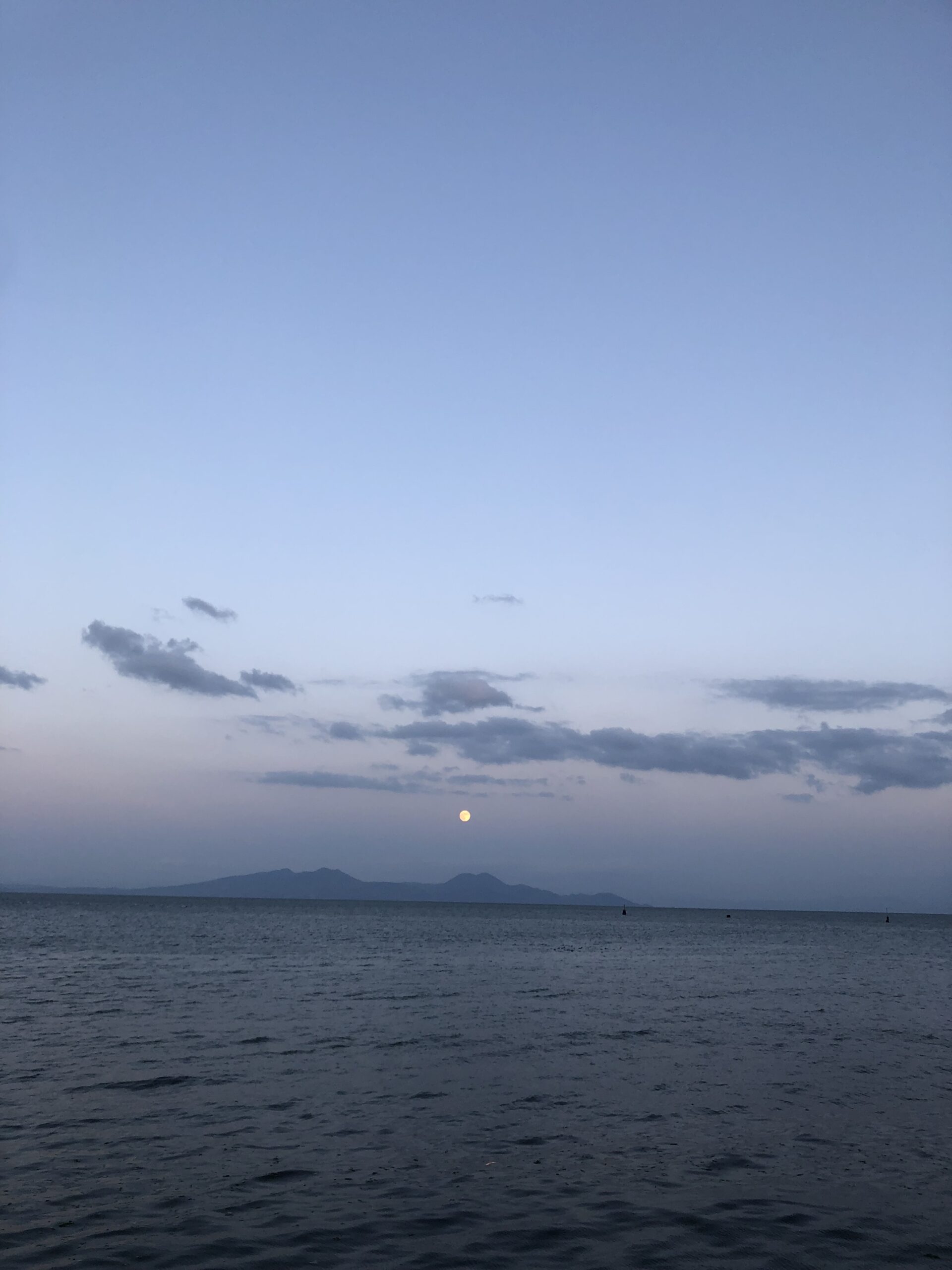 ドッグランから望む有明海の絶景
