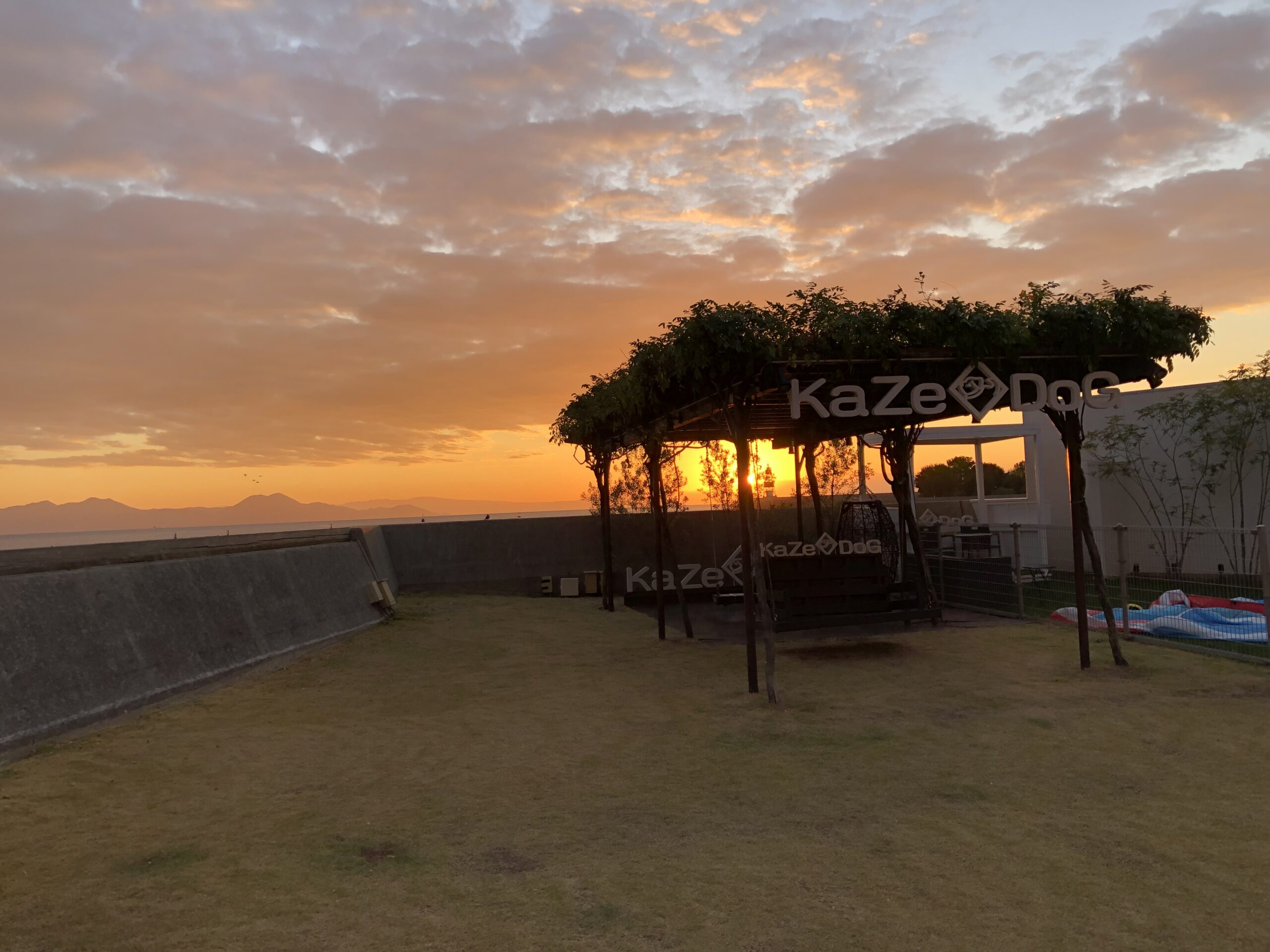 南風楼朝のドッグラン全景