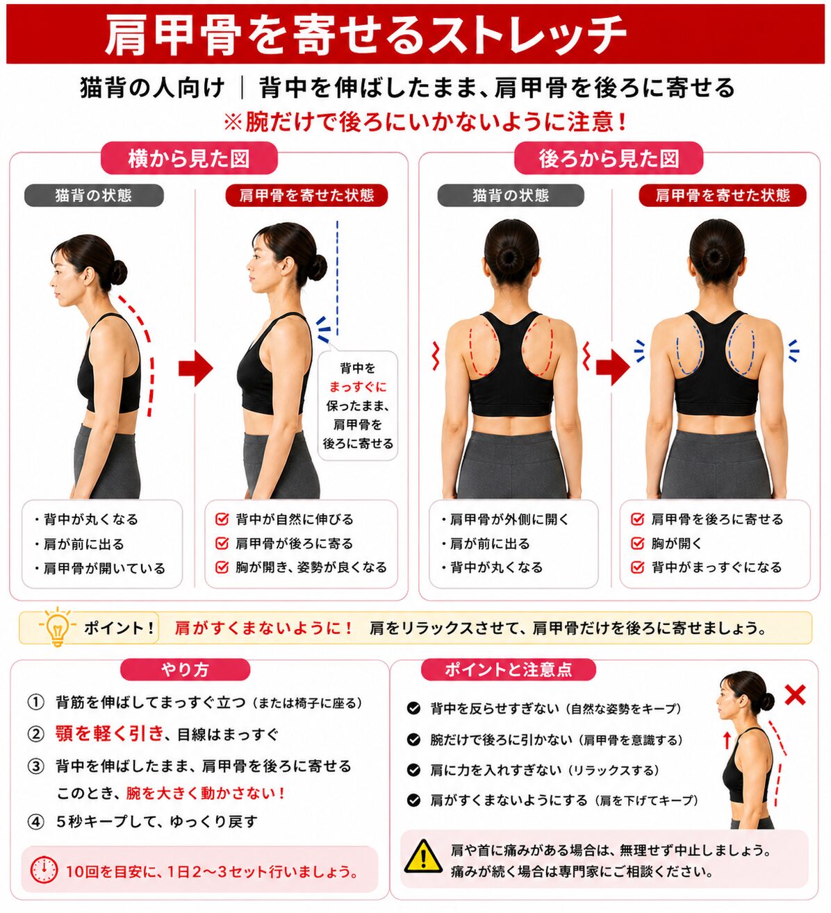 肩甲骨をやさしく寄せる