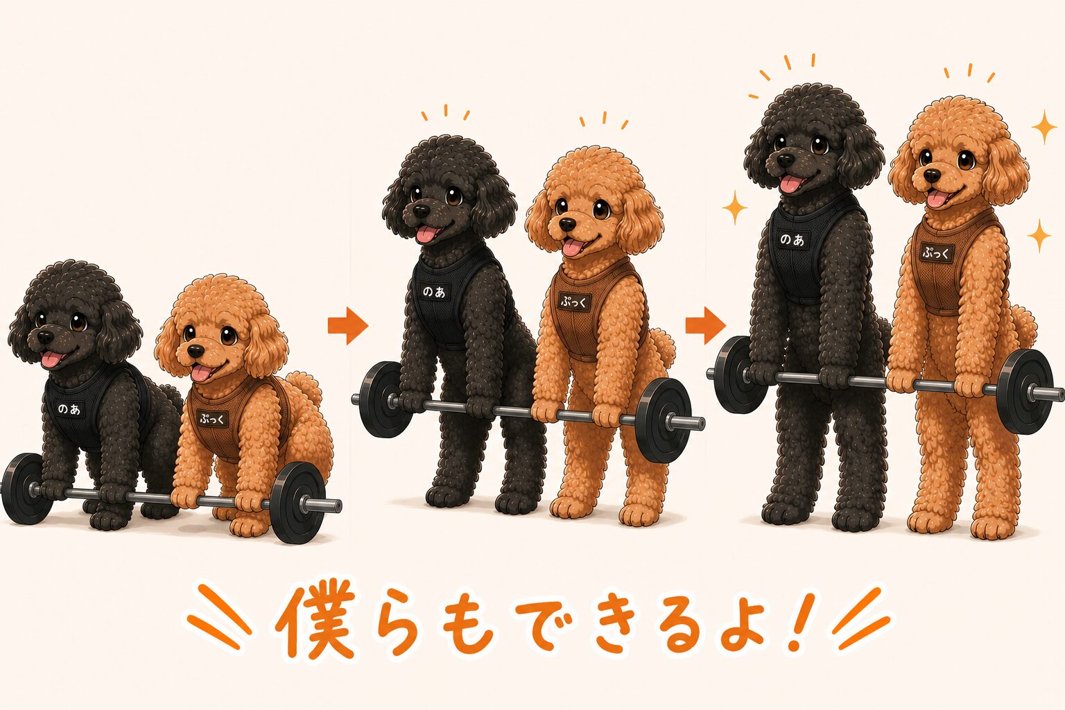 ぷっくのあデッドリフト