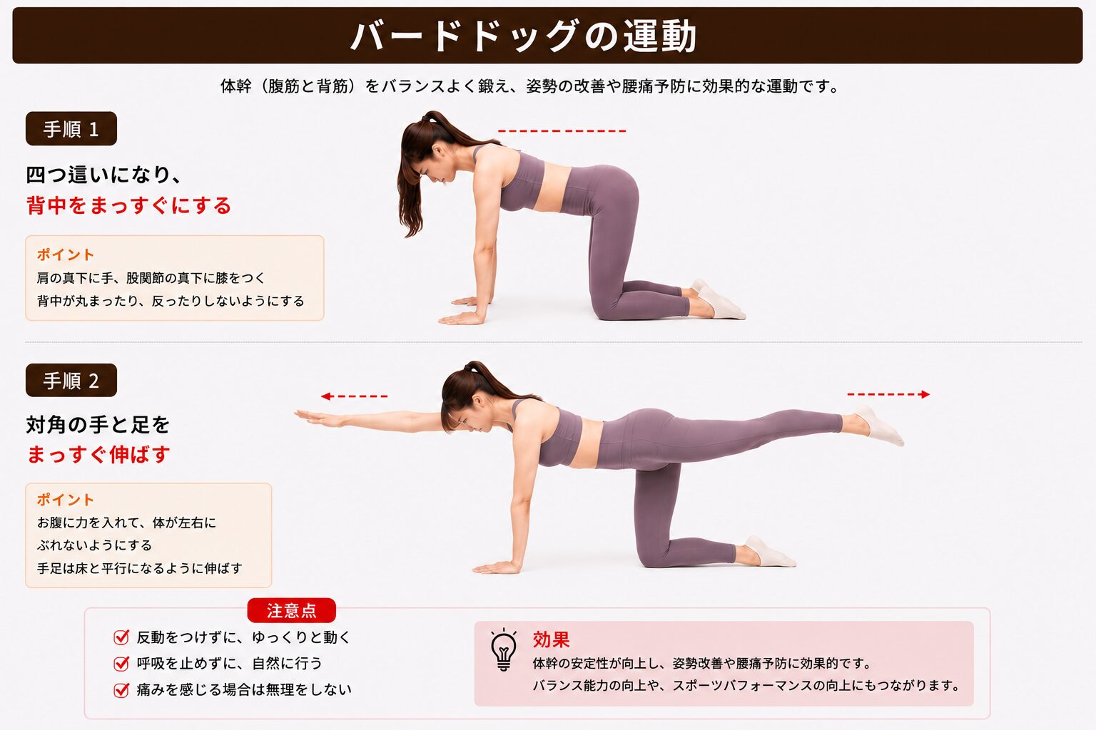 バードドッグ