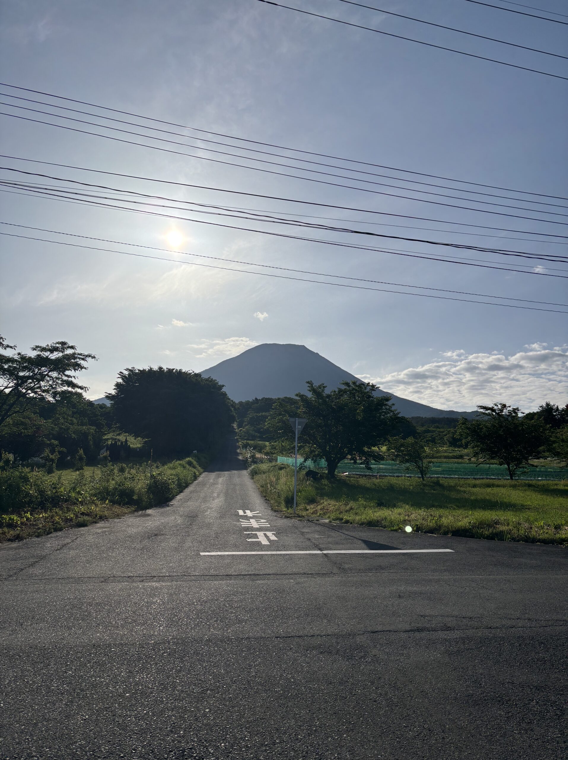 ホテル横の道路から大山がしっかり見える