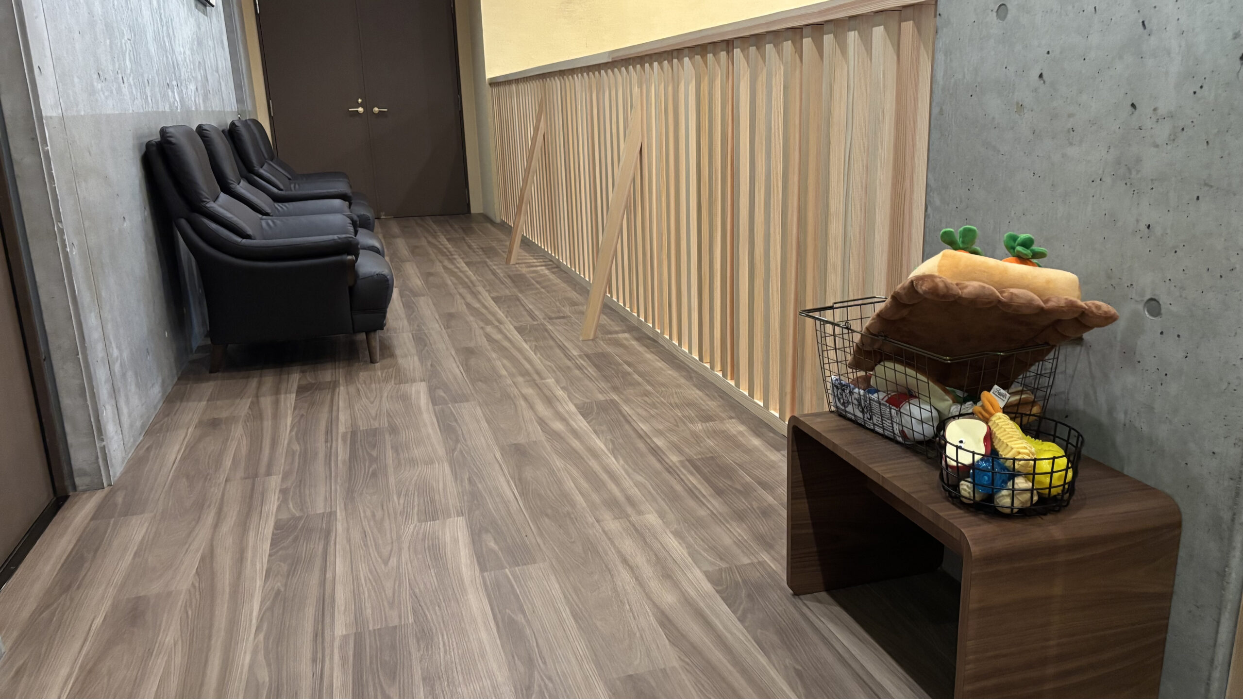 室内ドッグランに用意されたおもちゃ