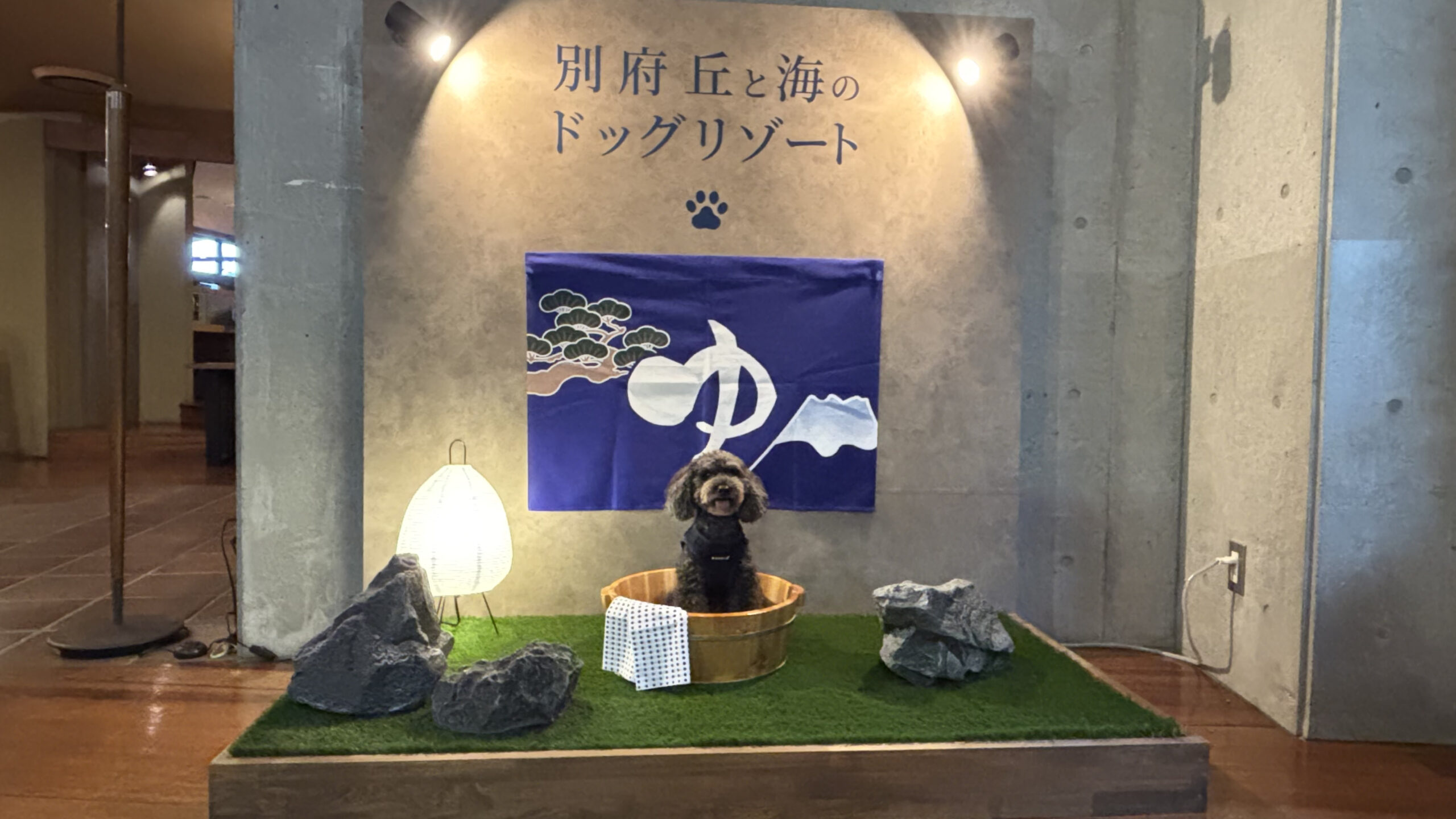 わんこと記念写真が撮れる撮影スポット