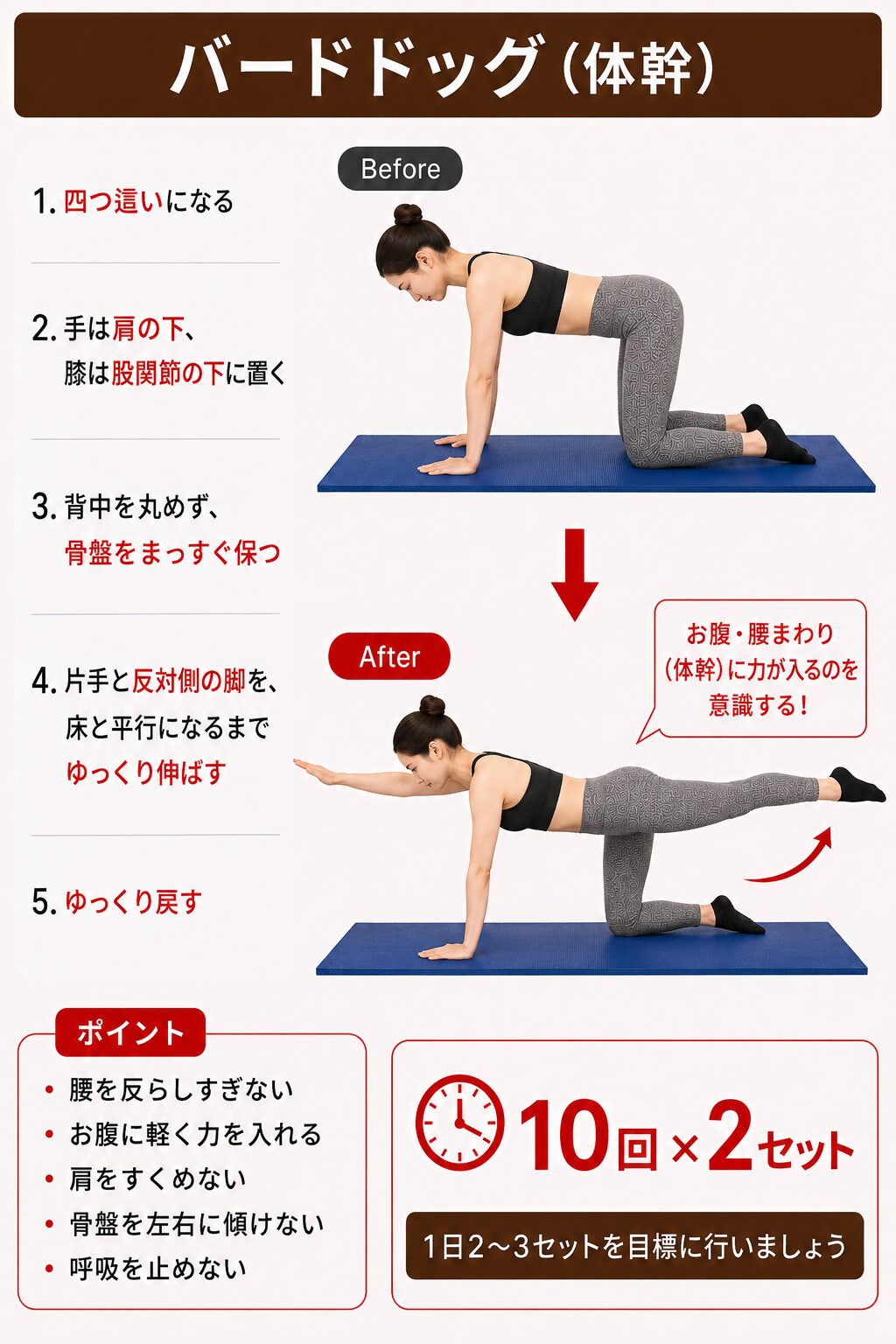 バードドッグ