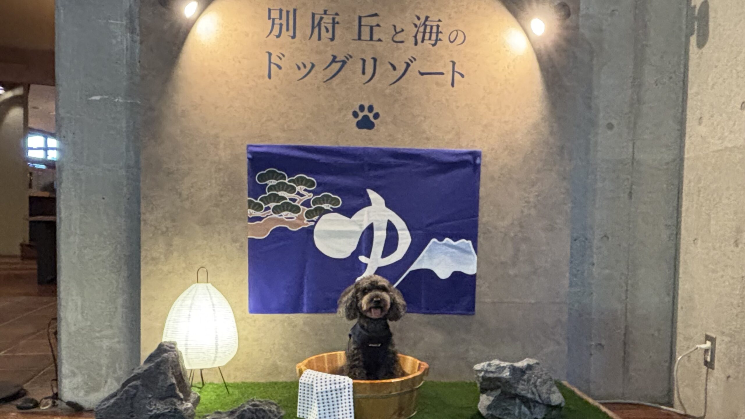 別府 丘と海のドッグリゾートにわんこと宿泊