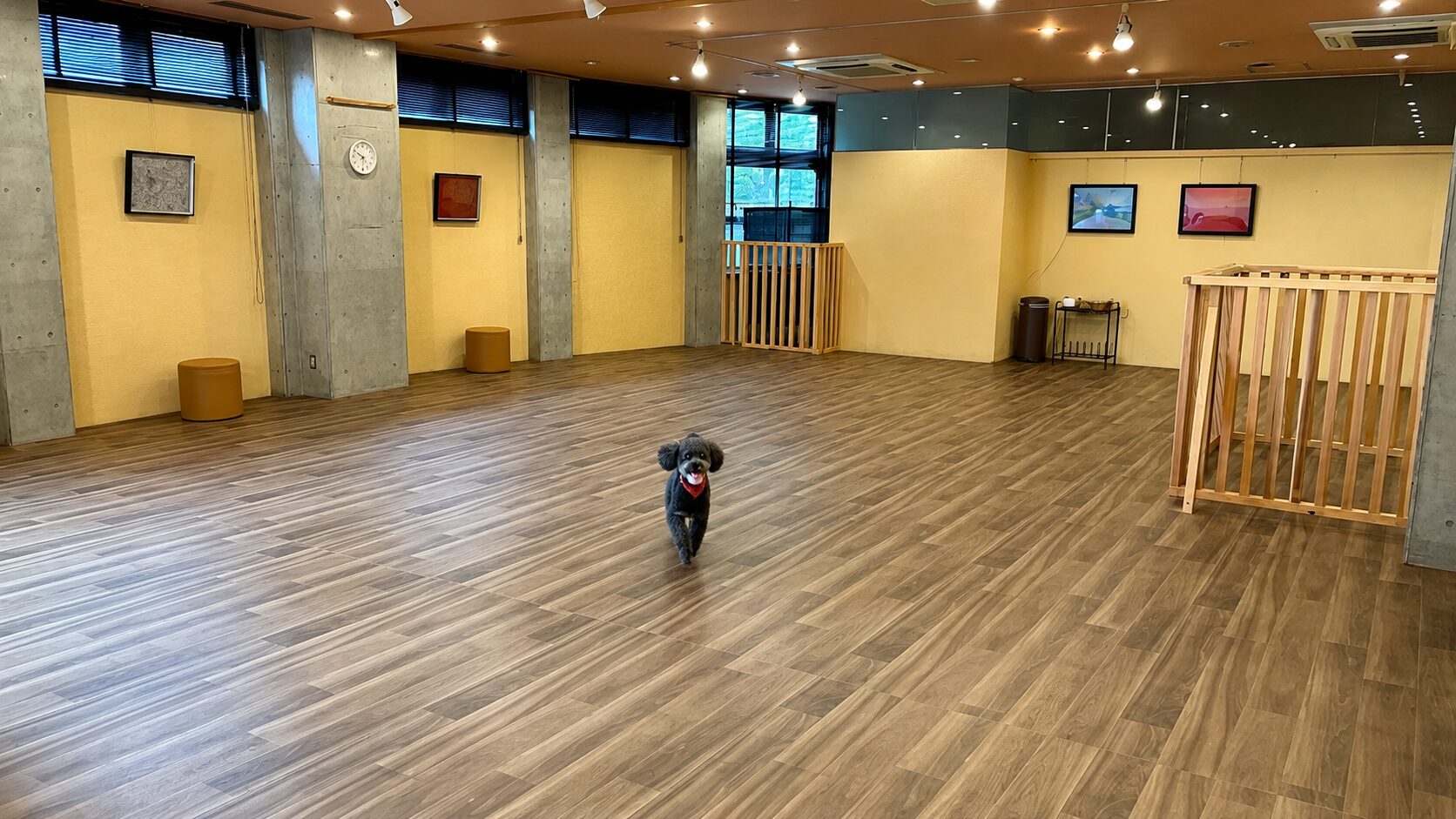 丘と海のドッグリゾートの室内ドッグラン