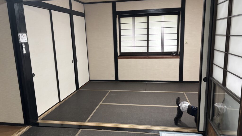 和室で過ごすのあ