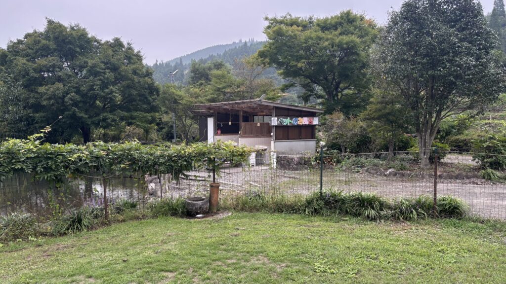 ドッグラン横のペット洗い場