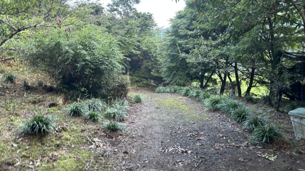 敷地内の散歩道